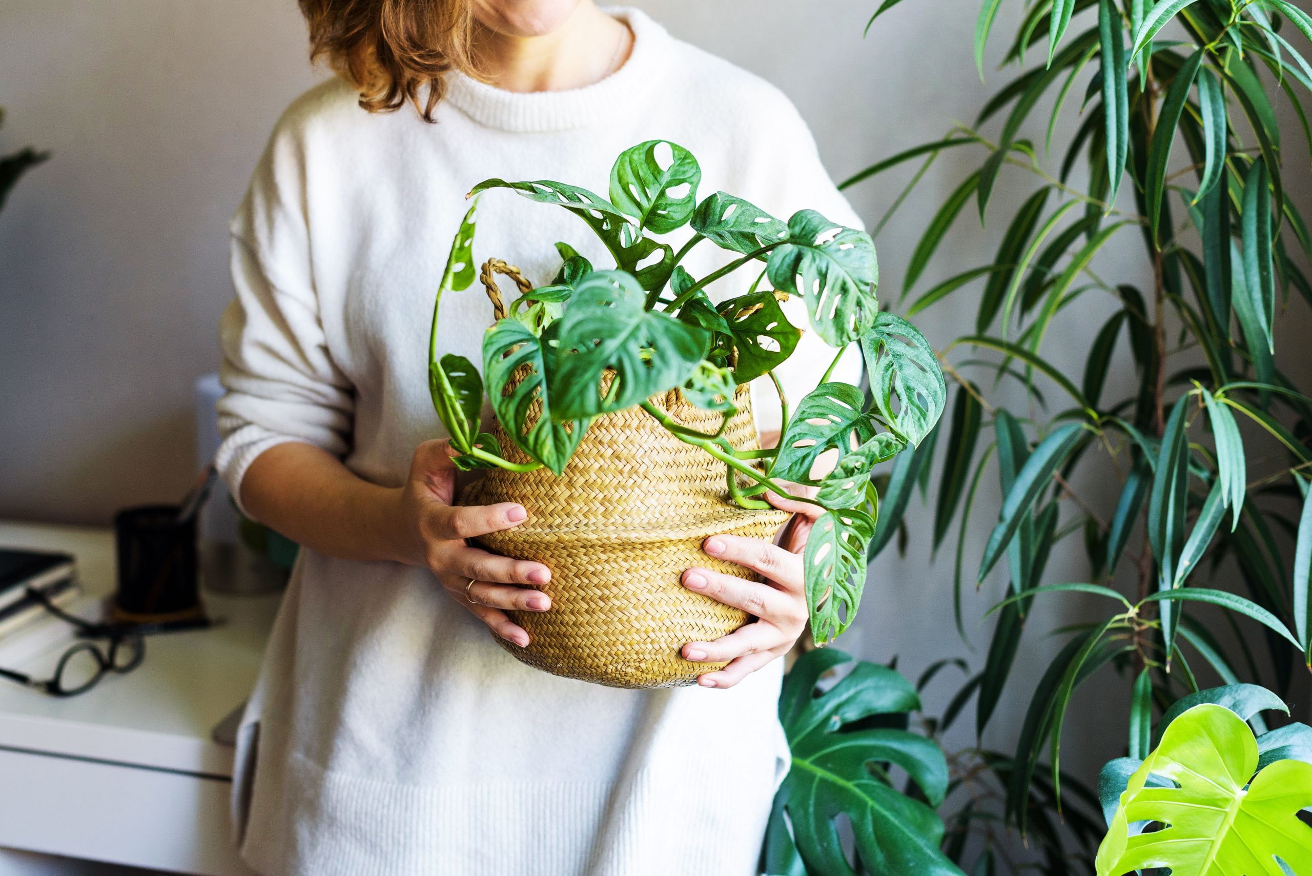 Blond woman holds a basket with a house plant in it. Other plants and a desk workspace appear in the background.